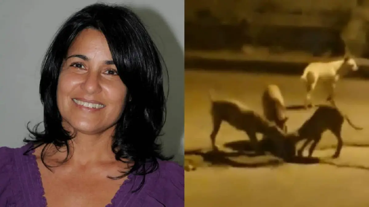 Periodista oficialista acude a Facebook para publicar queja animalista que su director no le deja publicar en el Juventud Rebelde