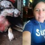 Internautas piden justicia contra mujer que arrojó caldero de agua hirviendo a una perrita en Holguín