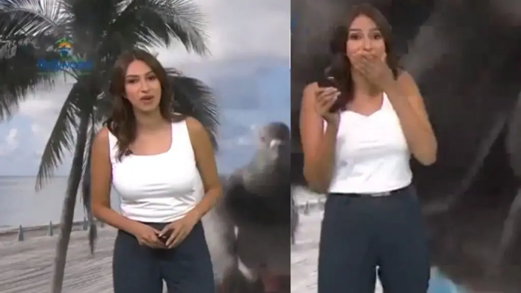 Meteoróloga es asustada por una paloma durante transmisión en vivo