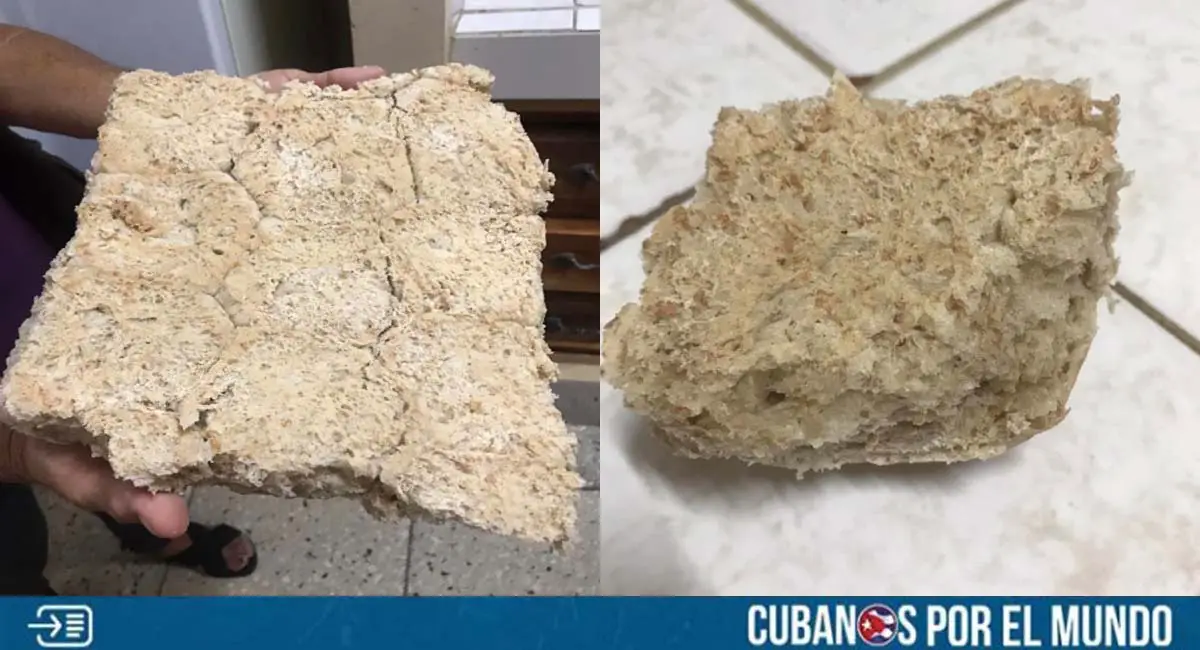 ¡Incomible! Mire este pan elaborado en Pinar del Río