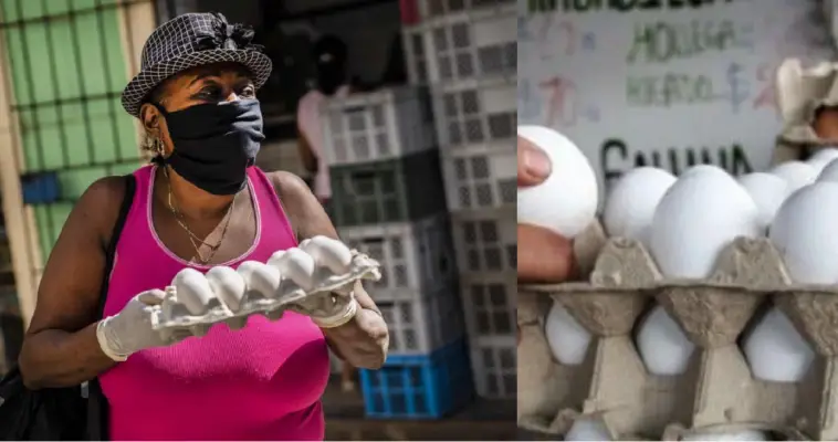 Denuncian precio excesivo del cartón de huevos: 1600 pesos en Mayabeque