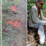 Los alimentos se echan a perder en los campos y se habla de soberanía alimentaria