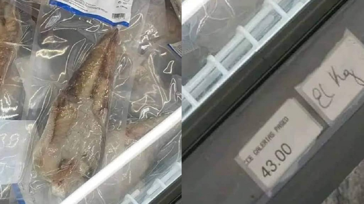 En un país rodeado de mar, el kg de pescado (tilapia o merluza) cuesta $43 MLC