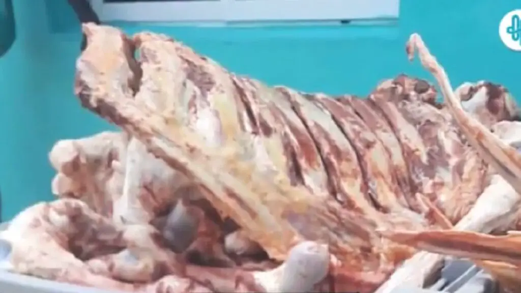 Lo único que le toca al pueblo de las vacas son los huesos (+VIDEO)