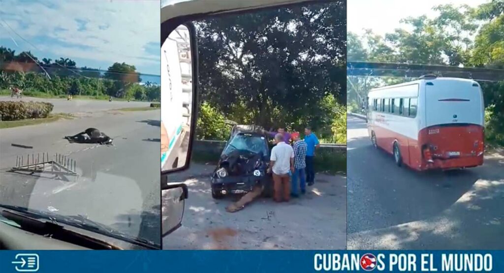 Un aparatoso accidente se registró este sábado en Cuba, aparentemente provocado por un animal que estaba suelto y pasaba por la carretera.