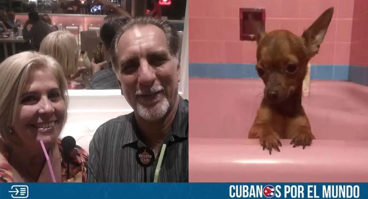 Familia del espía René González ofreció hasta 20 mil pesos para recuperar a su perro perdido
