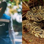 En estado grave, repartidora de Amazon en la Florida, tras ser mordida por una serpiente cascabel