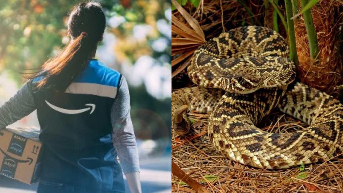 En estado grave, repartidora de Amazon en la Florida, tras ser mordida por una serpiente cascabel