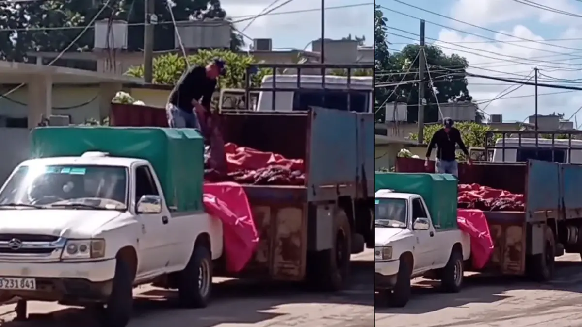 Sin refrigeración e higiene: Así trasladan la carne para la venta al pueblo (+VIDEO)