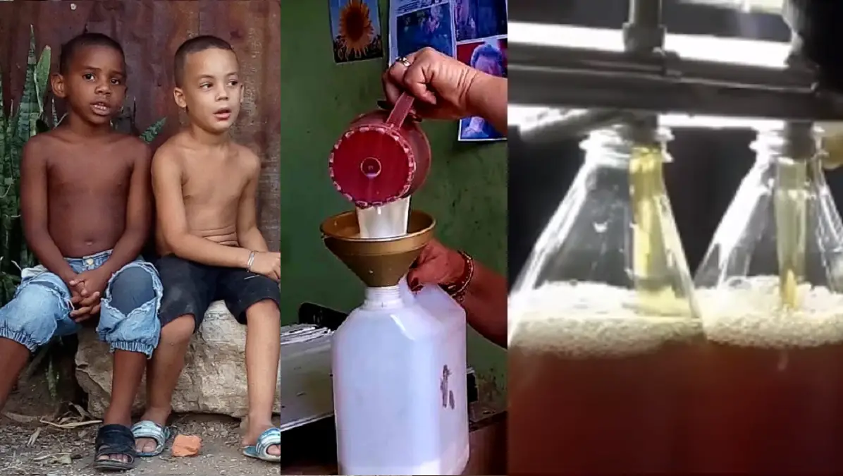 Esto ocurre ante la escasez de leche en el país y la incapacidad de la dictadura para mantener la producción de este lácteo.