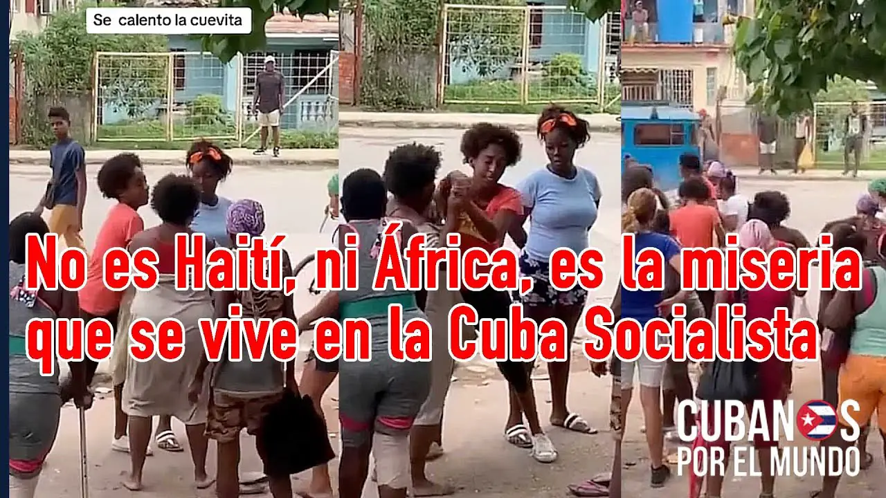 La degradación que vive la sociedad en la isla se profundiza cada vez más consecuencia del fallido sistema comunista, y una muestra de ello, es ver como las madres cubanas se caen a golpes mientras hacen colas para comprar alimentos para alimentar a sus hijos.