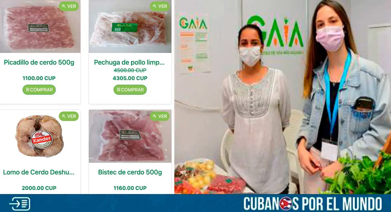 La hija de Mariela Castro, Lisa Titolo Castro, es la propietaria de una de las micro, pequeñas y medianas empresas (MIPYMES) que han surgido en Cuba tras las mal llamadas “reformas económicas” que ha impulsado el régimen castrista.
