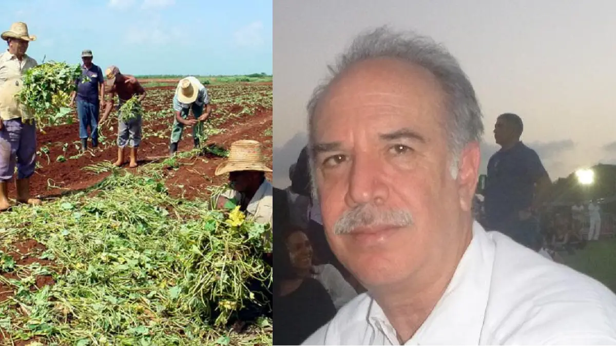 Economista Pedro Monreal considera que se requiere más que tierra y trabajo para mayor producción de alimentos
