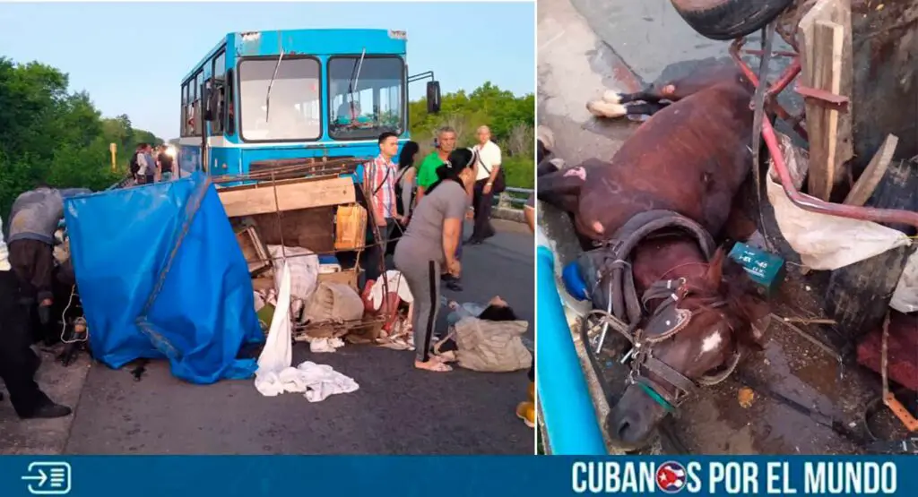 Una tragedia vial ocurrida la mañana de este martes en Cienfuegos dejó varios heridos, según reportes en las redes sociales