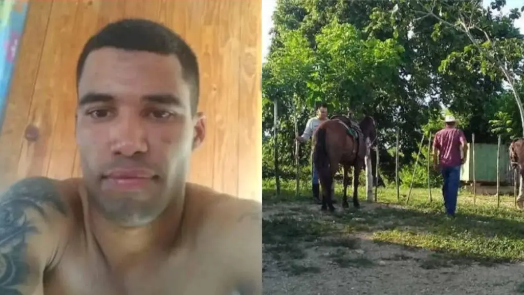Detienen a un presunto matarife en Villa Clara con 600 lbs de carne de res encima