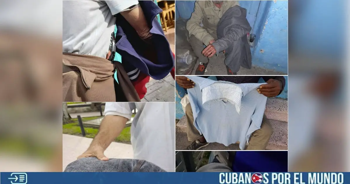 Locuras de Miguelín parece que no se enteró de esto, a pesar de haber sido etiquetados.