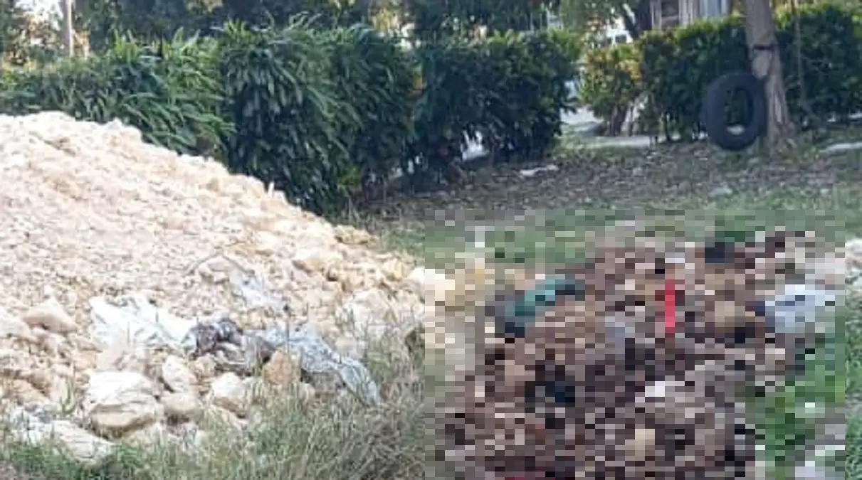 Restos humanos son esparcidos en las afueras del Cementerio de Colón