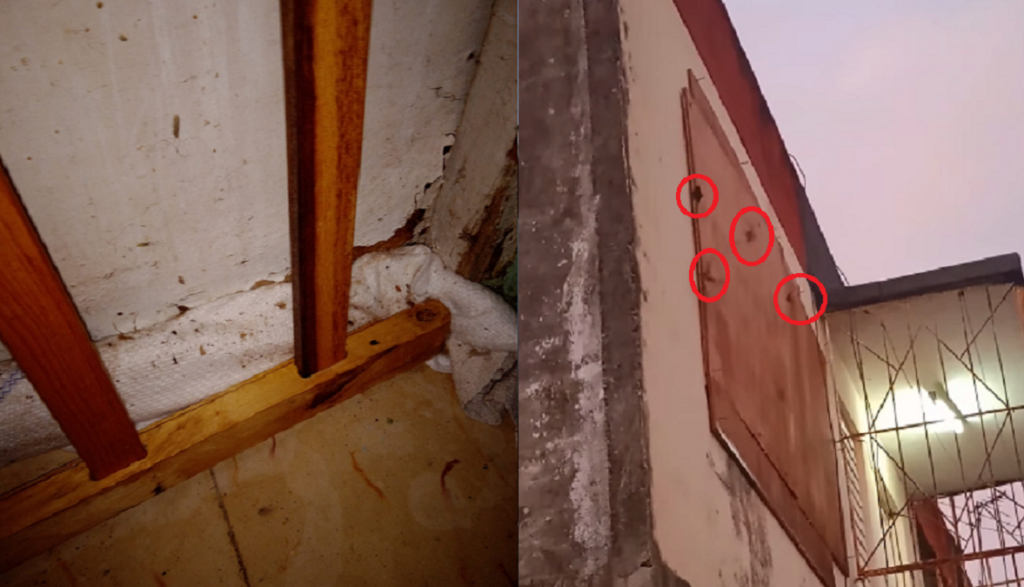 Denuncian que niña de tres años vive en un cuarto con murciélagos desde el 2021 y nadie resuelve su problema