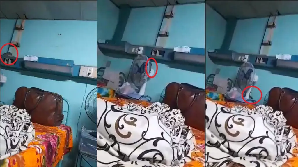 Este jueves denunciaron en redes sociales, la presencia de ratas en la sala de un hospital en Moa, Holguín.