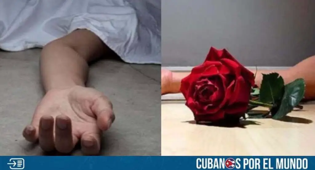 Plataforma confirma dos feminicidios en Cuba