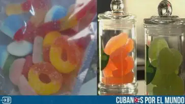 Preocupación en Florida: Varios estudiantes consumieron gomitas de marihuana