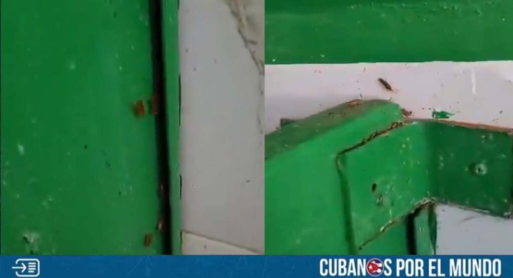 Sucios y llenos de cucarachas, así están los baños en hospital de Ciego de Ávila