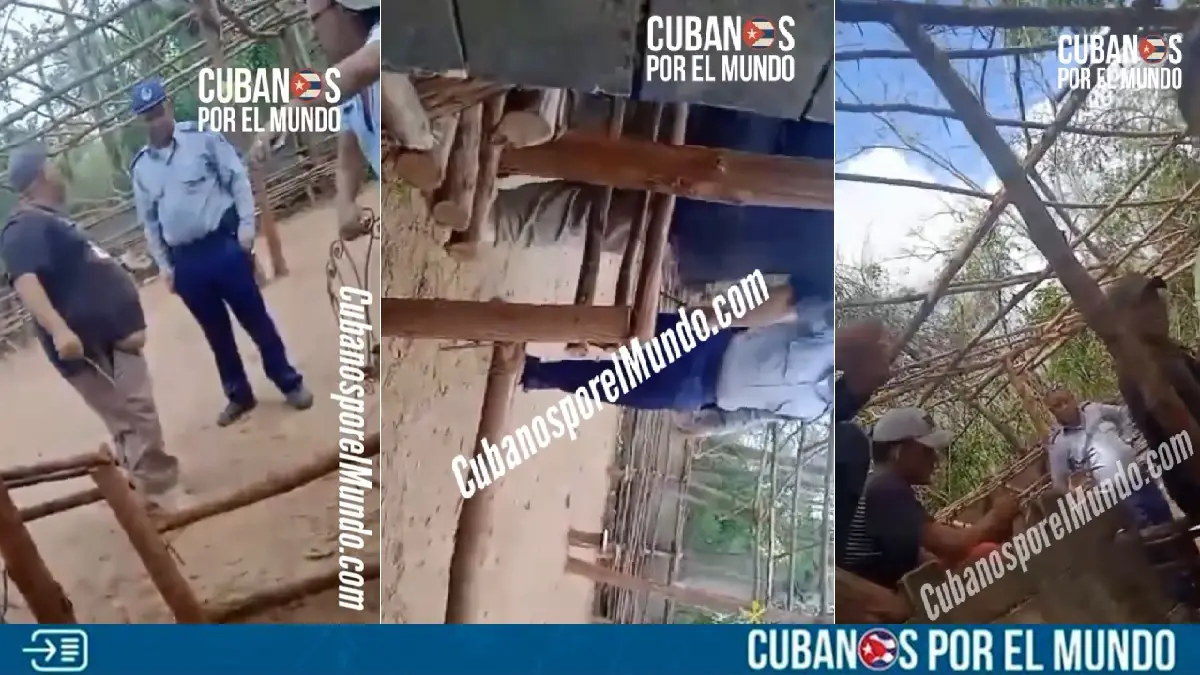 su valla de gallos