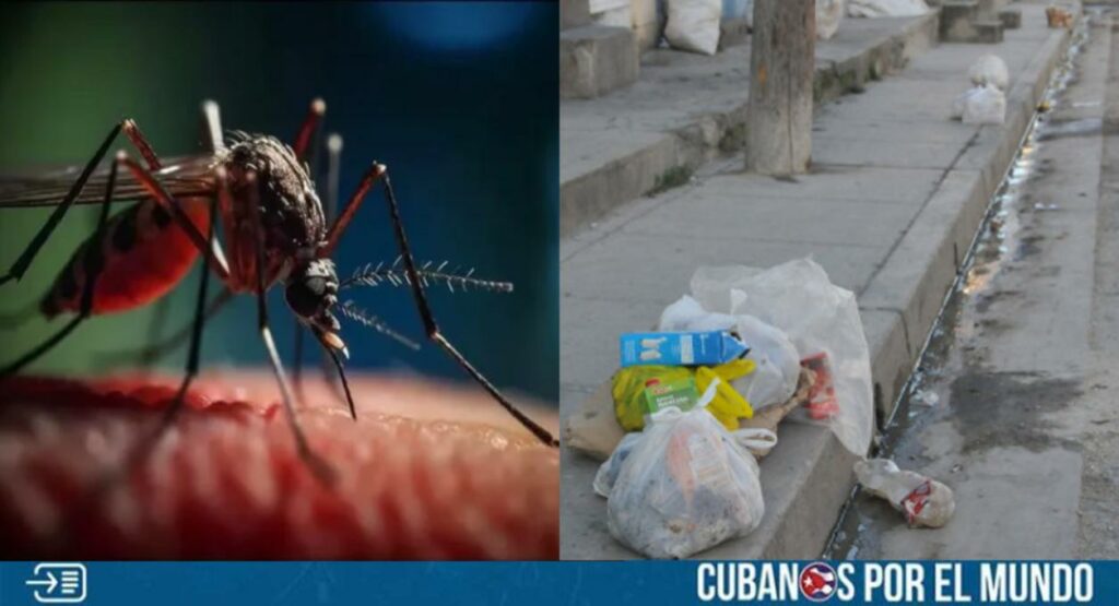 Habitantes de Cienfuegos han expresado su preocupación por la llegada del virus "fiebre de Oropouche" a esa provincia.