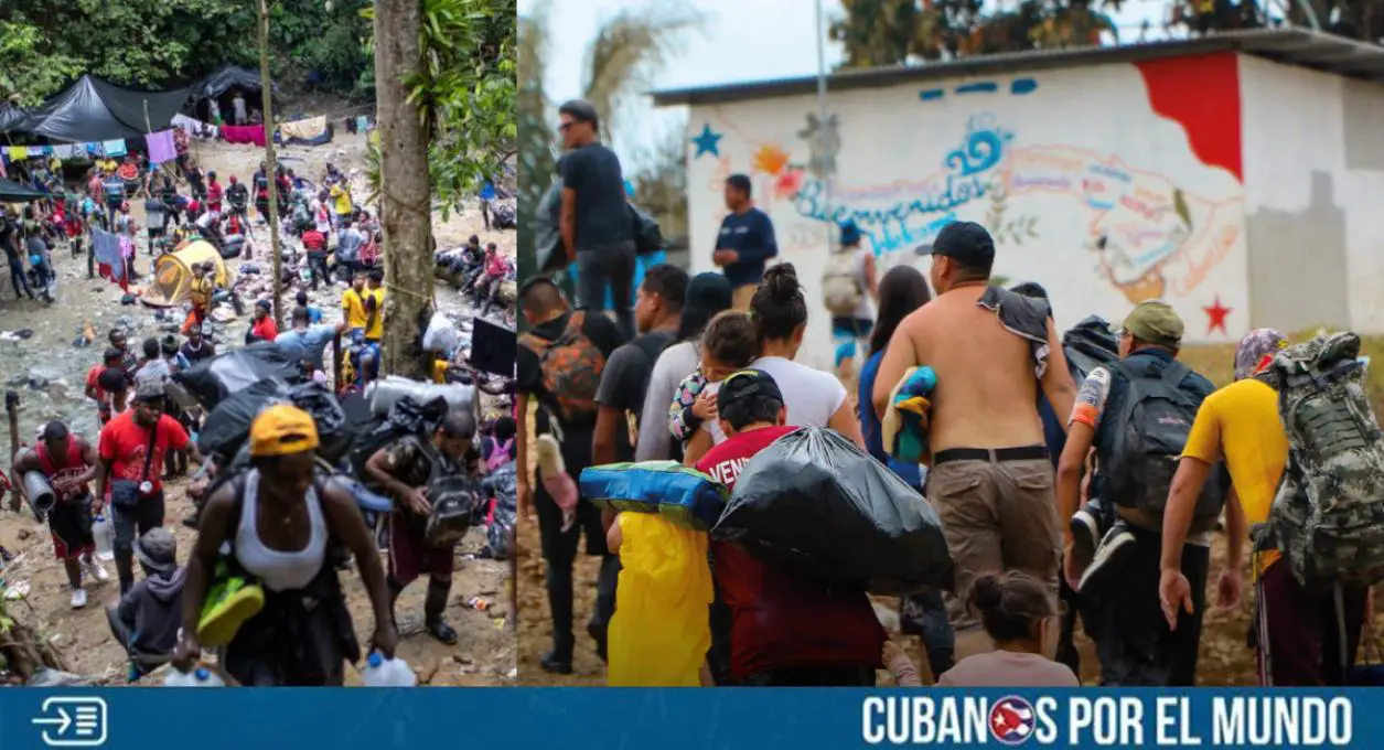 Al menos 400 cubanos han transitado por la Selva del Darién en lo que va de 2024, según informaron las autoridades migratorias de Panamá en las últimas horas.