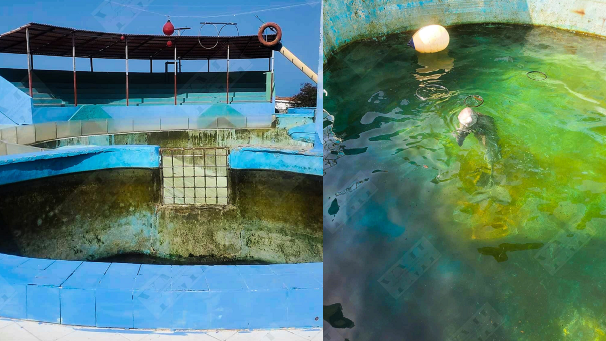 Falta de alimentos a los delfines paraliza las funciones del acuario de Santiago de Cuba