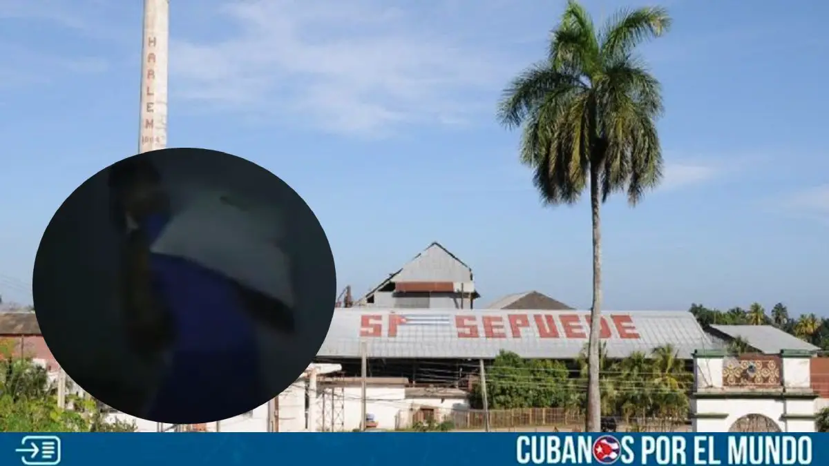 azúcar