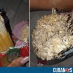 A través de redes sociales, el periodista independiente cubano, Yosmany Mayeta Labrada, denunció el mal estado de una pasta que una ciudadana compró a un vendedor ambulante que varias veces ha pasado por el frente de su casa, en Poblado Boniato, afuera de Santiago de Cuba.