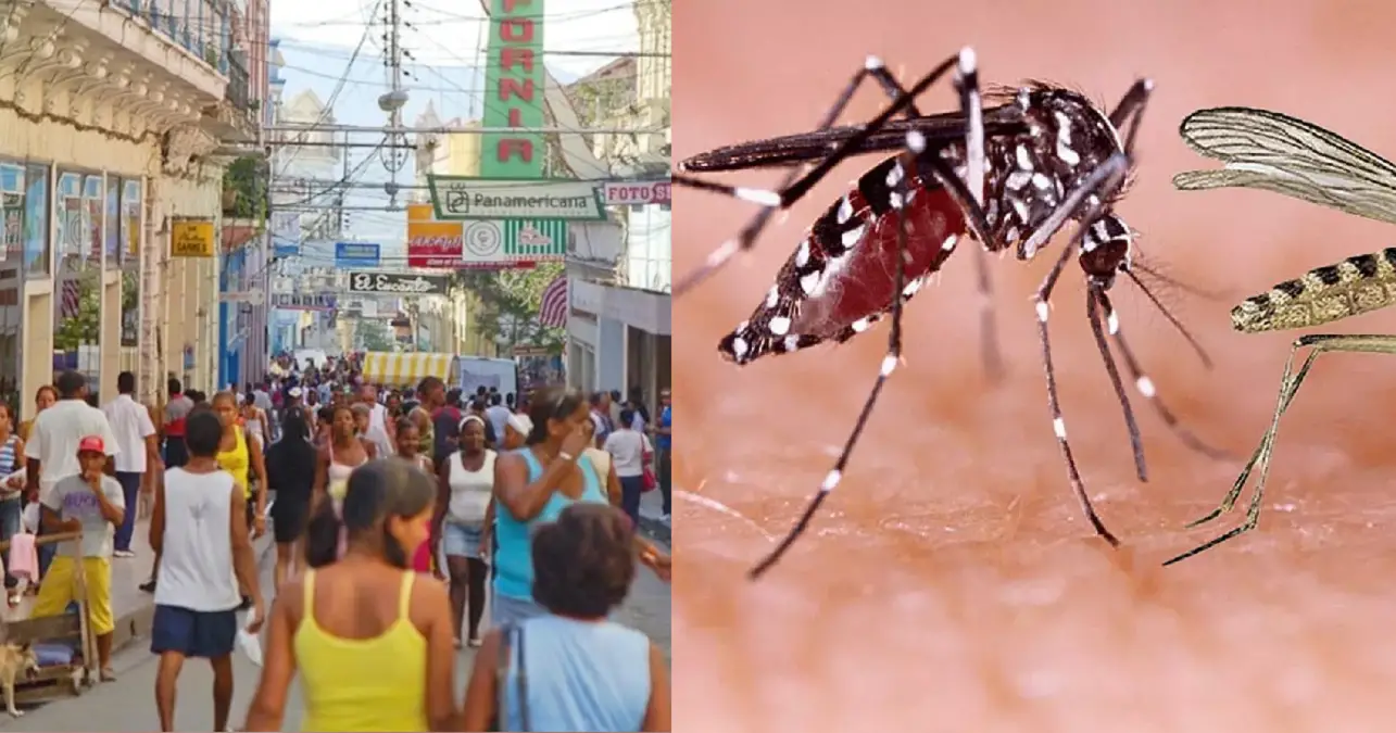 Oropouche en Cuba está diseminado por todo el país