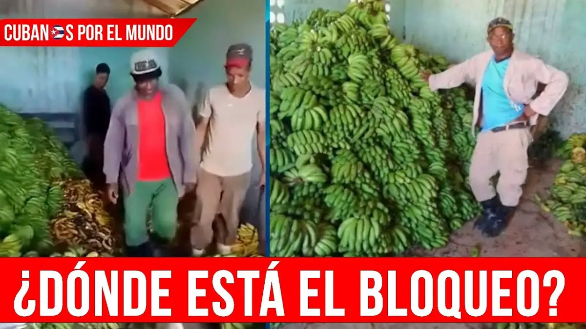 cosecha
