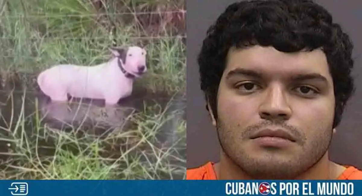 Capturado sujeto que abandonó a su perro antes del golpe del huracán Milton en Tampa