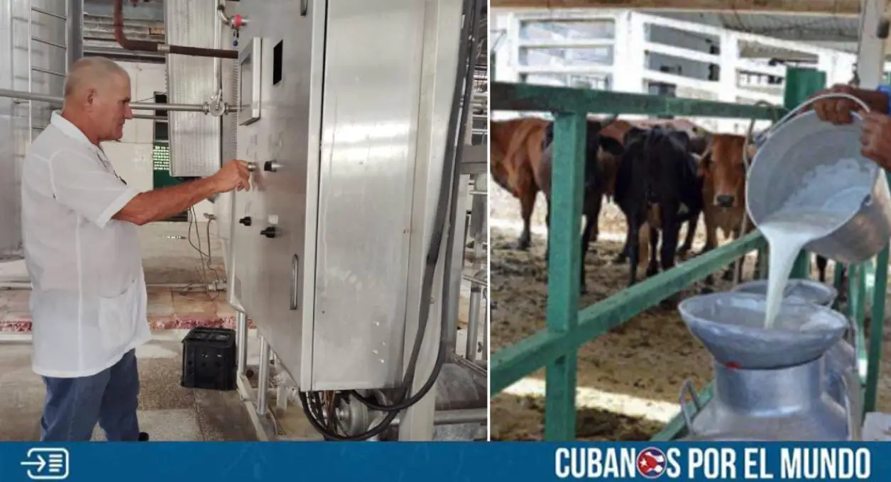 Medios de la dictadura castrista informaron que más de 11 mil 200 niños de la provincia de Matanzas se han quedado sin leche en la última semana ante el colapso del sistema eléctrico que mantuvo a la isla a oscuras por varios días.