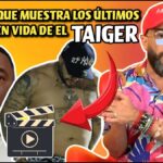 El Taiger