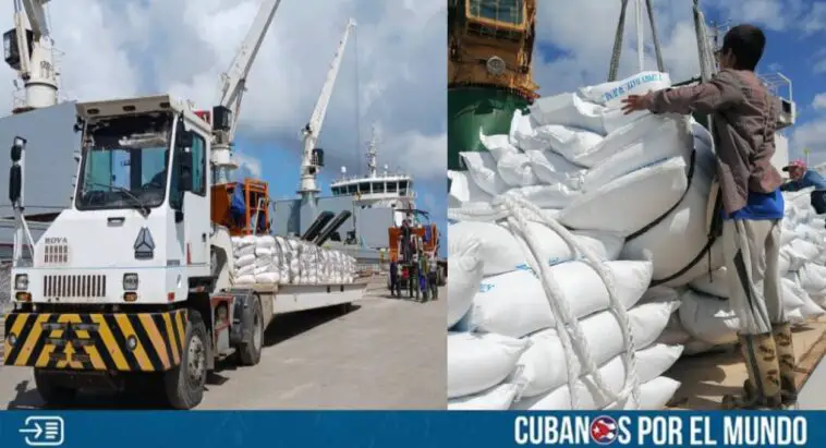 Esta semana arribaron a Cuba un total de 1 mil 864 toneladas de arroz y 900 de chícharos al Puerto de Nuevitas, en Camagüey.