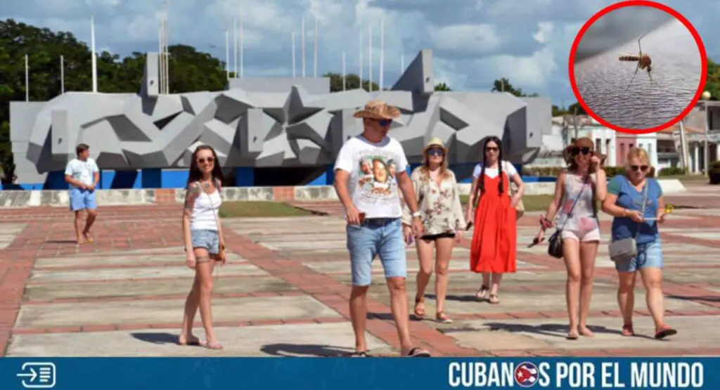 Los jejenes en Cuba están haciendo la vida insoportable a los turistas rusos que insisten en ir a la isla comunista de “vacaciones”.