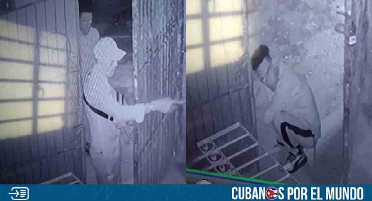 Captan a delincuentes robando dentro de una vivienda en construcción en La Habana