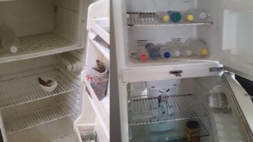 "A veces uno abre el refrigerador y no sabe ni por qué", confiesa periodista oficialista