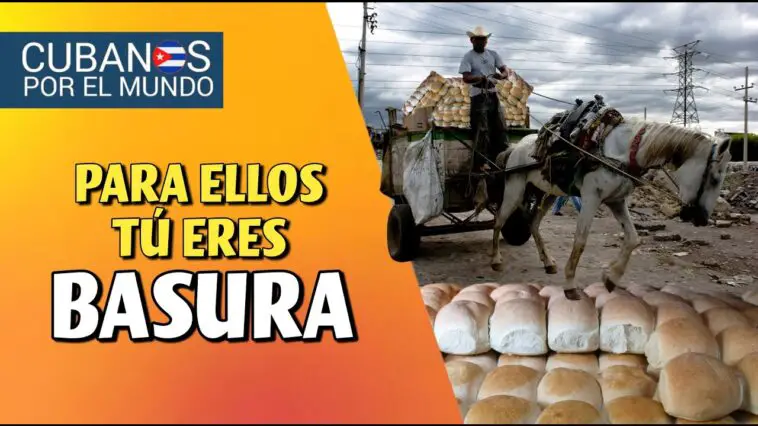 La miseria en Cuba cada día se intensifica más, y una muestra de esto, es lo ocurrido recientemente en el poblado de Zaza, en la provincia de Sancti Spíritus, en donde trasladaban el pan en el carretón de basura.