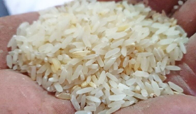 Funcionario castrista habla de “confianza” ante la escasez de arroz en la isla