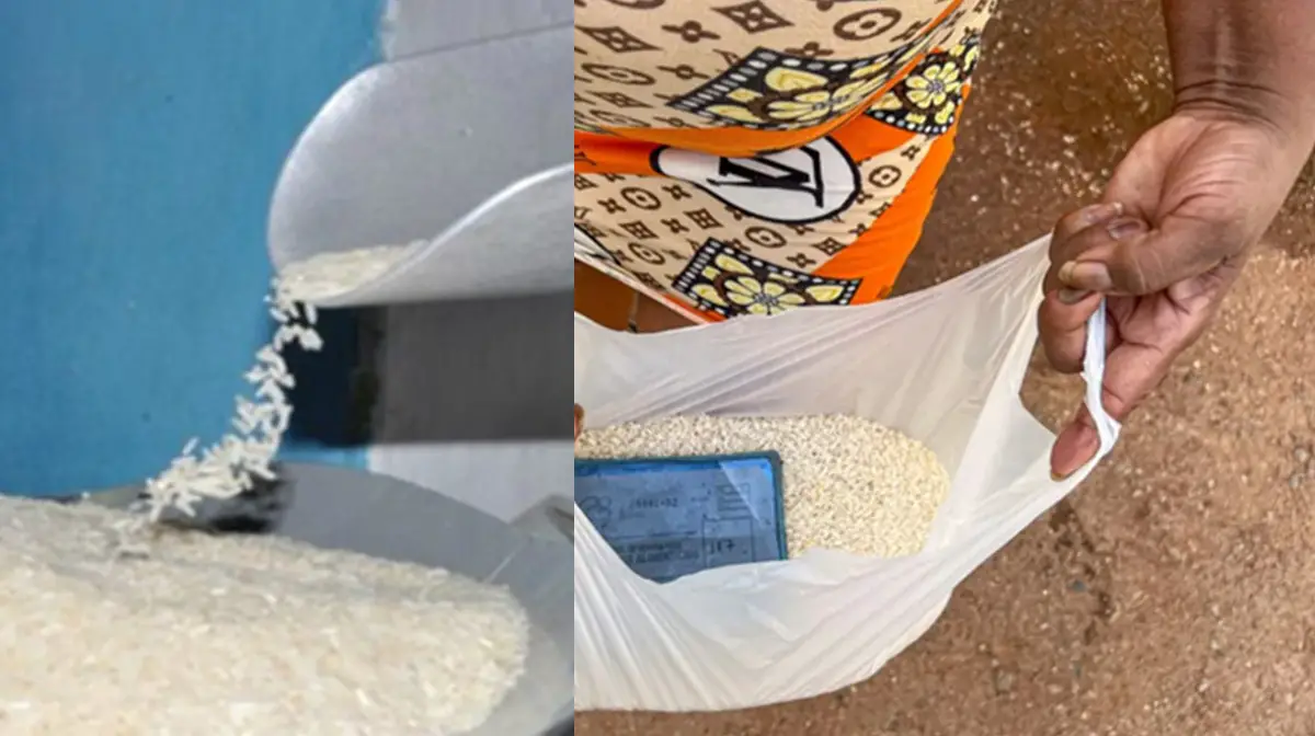 Régimen cubano vuelve a mencionar el “arroz popular” ante la escasez del grano