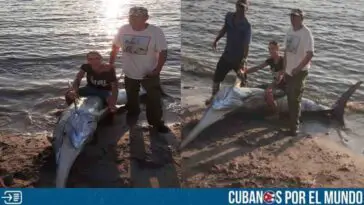 Pez emperador fue capturado por pescadores en Matanzas