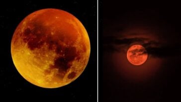 “Luna de sangre” será visible en Cuba el 13 de marzo