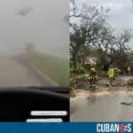 Mujer sobrevive dentro de su carro tras quedar atrapada en un tornado en Florida