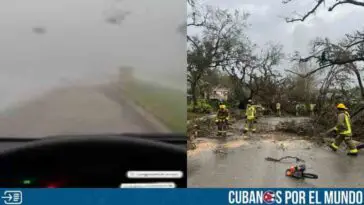 Mujer sobrevive dentro de su carro tras quedar atrapada en un tornado en Florida