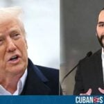 El presidente de Estados Unidos, Donald Trump, agradeció a su homólogo Nayib Bukele, por recibir a los miembros de la banda criminal de origen venezolano, el Tren de Aragua, los cuales fueron deportados y trasladados el domingo al Centro de Confinamiento del Terrorismo (CECOT) en El Salvador.