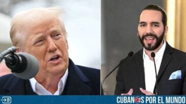 El presidente de Estados Unidos, Donald Trump, agradeció a su homólogo Nayib Bukele, por recibir a los miembros de la banda criminal de origen venezolano, el Tren de Aragua, los cuales fueron deportados y trasladados el domingo al Centro de Confinamiento del Terrorismo (CECOT) en El Salvador.